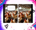 CHICKENS IN BARN Notebook cover
