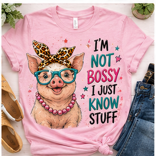 I'M NOT BOSSY I JUST KNOW STUFF DTF TRANSFER